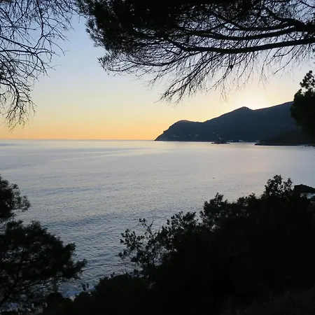 Family With Pool&huge Garden - Arrábida Trails&beaches Nearby Setúbal