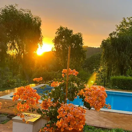 Family With Pool & Huge Garden - Arrabida Trails & Beaches Nearby * 세투발