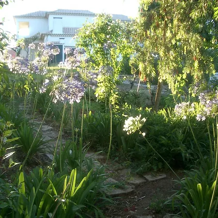 빌라 Family With Pool & Huge Garden - Arrabida Trails & Beaches Nearby