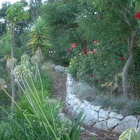 Family With Pool & Huge Garden - Arrabida Trails & Beaches Nearby