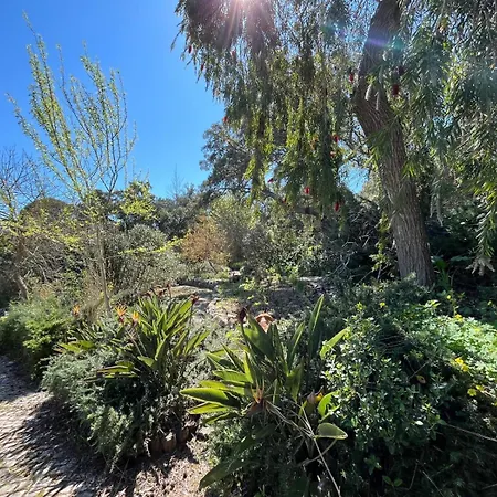 Family With Pool & Huge Garden - Arrabida Trails & Beaches Nearby 세투발