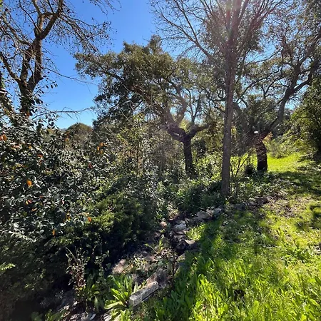Family With Pool & Huge Garden - Arrabida Trails & Beaches Nearby