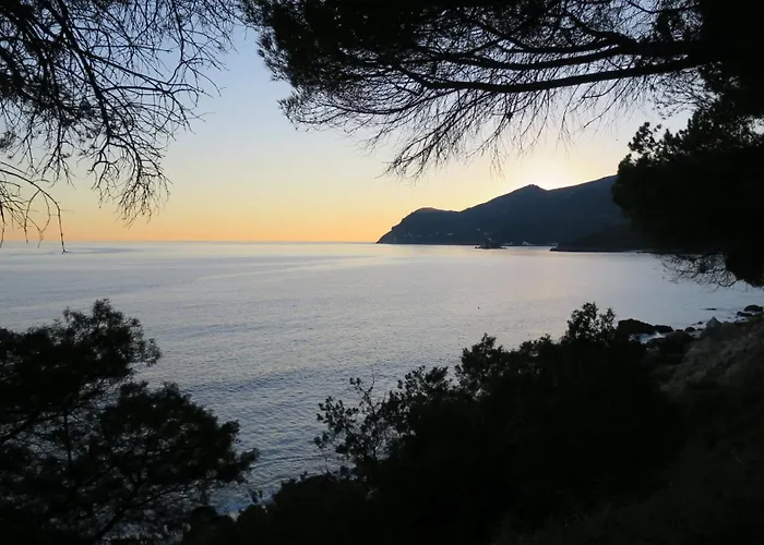 Family With Pool & Huge Garden - Arrabida Trails & Beaches Nearby Setúbal