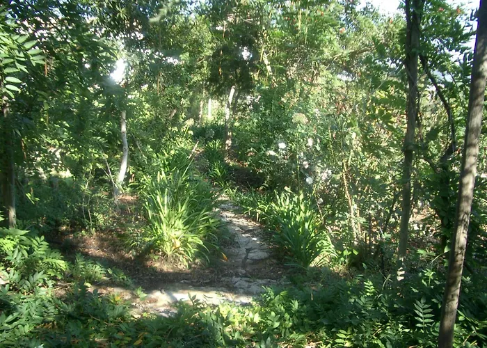 Family With Pool & Huge Garden - Arrabida Trails & Beaches Nearby Setúbal