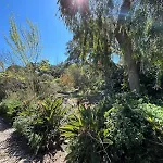 Family With Pool & Huge Garden - Arrabida Trails & Beaches Nearby Setúbal