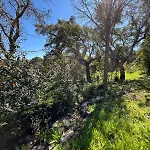 Family With Pool & Huge Garden - Arrabida Trails & Beaches Nearby