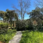 Family With Pool & Huge Garden - Arrabida Trails & Beaches Nearby Vila *