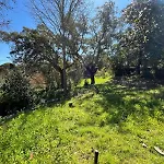 Family With Pool & Huge Garden - Arrabida Trails & Beaches Nearby
