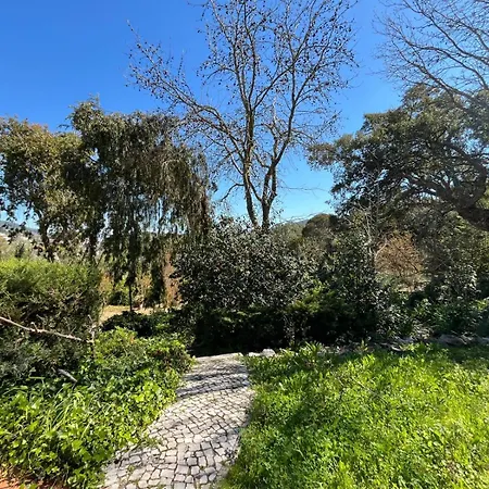 Family With Pool & Huge Garden - Arrabida Trails & Beaches Nearby Villa *