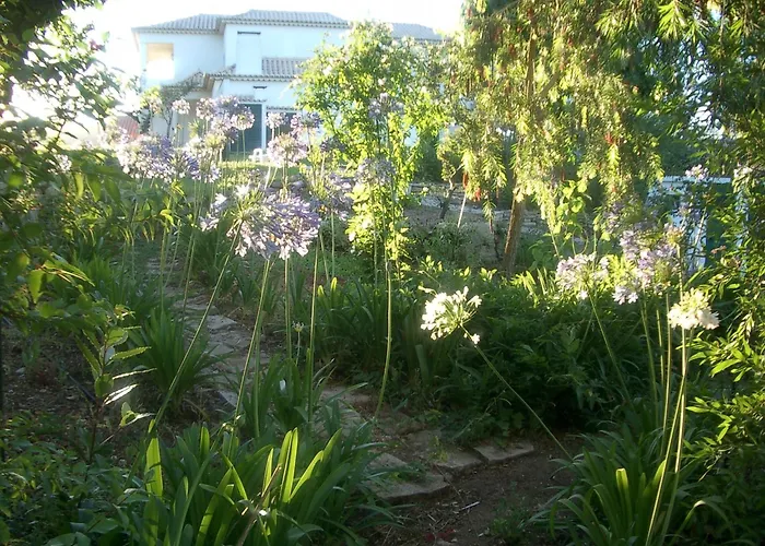 Vila Family With Pool & Huge Garden - Arrabida Trails & Beaches Nearby